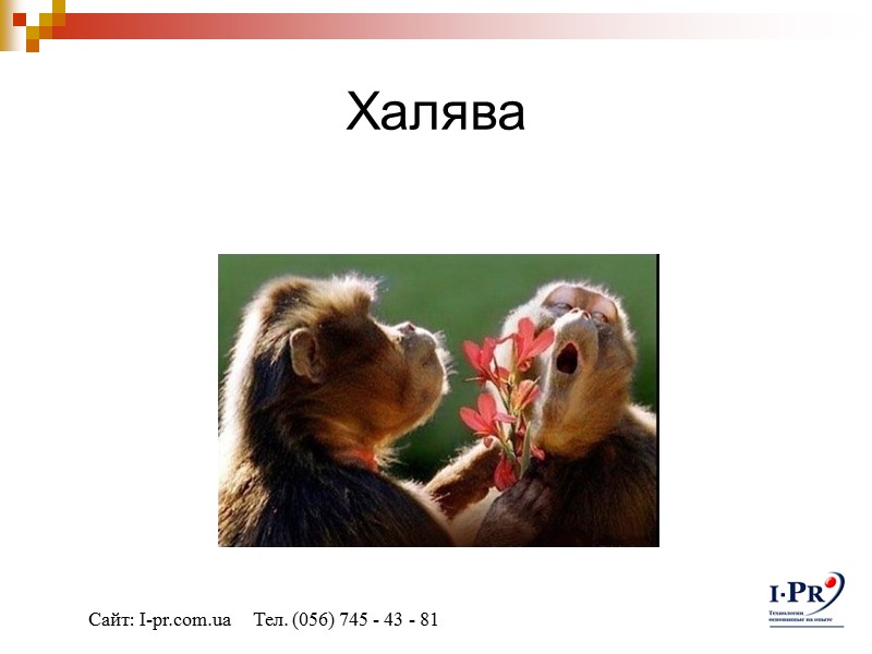 Халява Сайт: I-pr.com.ua     Тел. (056) 745 - 43 - 81